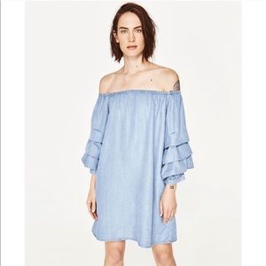Zara ruffle Sleeve Dress
